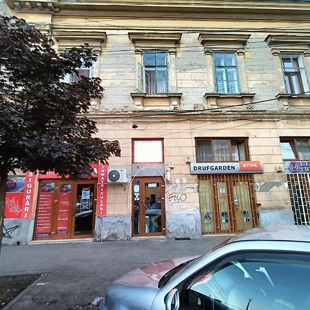Casa Heidi Hotel Temesvár Kültér fotó